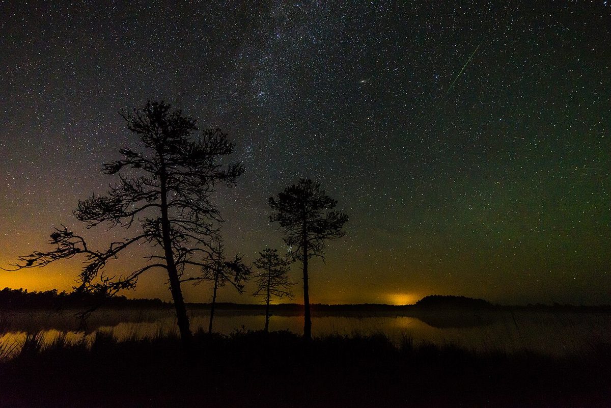 Milky Way over a bog with city skyglow spreading along the horizon